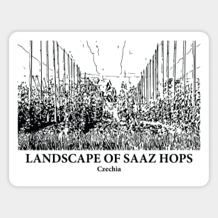 Landscape of Saaz Hops - Czechia Magnet